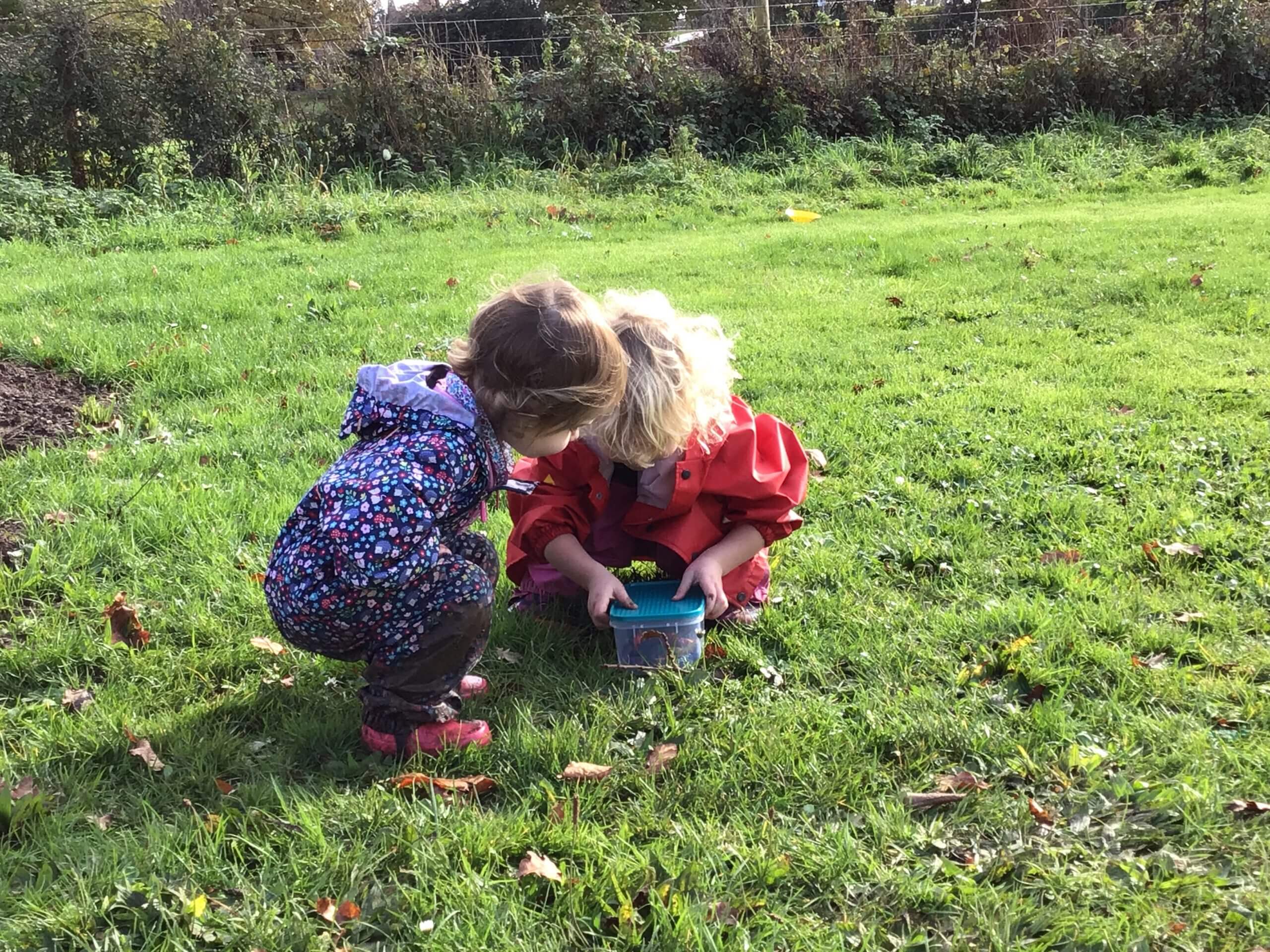 Nurturing Minds In Nature’s Classroom At Conifers School